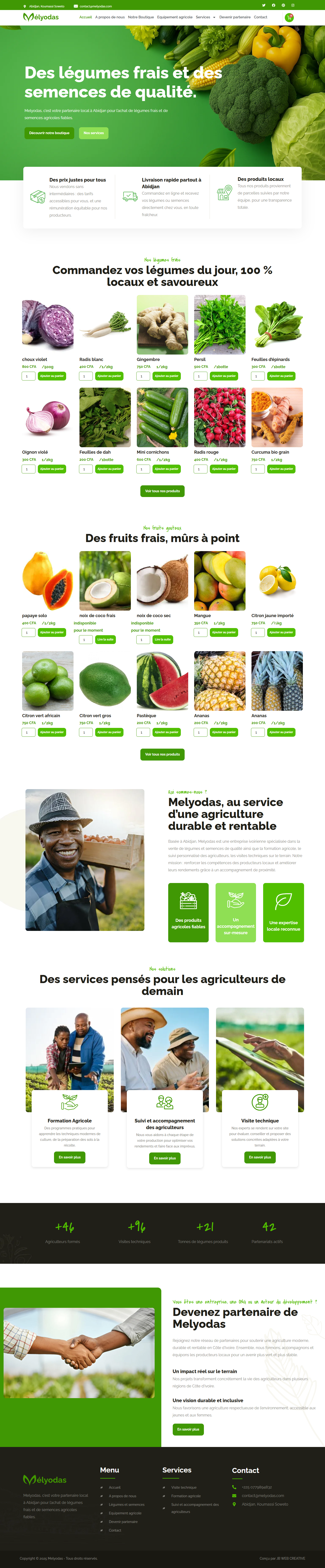 Capture de la page d’accueil sur ordinateur : Melyodas — Produits agricoles et accompagnement des producteurs
